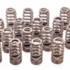 FORD Boss 302R Valve Spring Kit 2011-up 5.0L Engine M-6513-M50BR