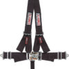 G-FORCE V-Type Harness Set Pull- Down Blk Pro Series 6020BK