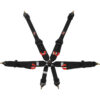 G-FORCE 6pt Harness Camlock HNR Indiv P/U Black  FIA 7622BK