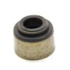 CHEVROLET PERFORMANCE Valve Stem Oil Seal - SBC LT4 10212810