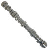 CHEVROLET PERFORMANCE Hyd. Roller Camshaft LS DOD Delete 12689035