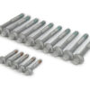 CHEVROLET PERFORMANCE Cylinder Head Bolt Kit Chevy LS Engines 17800568