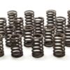 CHEVROLET PERFORMANCE 1.250 Valve Springs - SBC for 602 Crate Engine 19154761