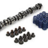 CHEVROLET PERFORMANCE Camshaft Kit - LS1 Hyd. Roller 19355738