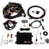 HOLLEY ECU & Harness Kit - GM TPI/Holley Stealth Ram 550-601