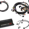 HOLLEY Dominator EFI Kit - GM LS 550-650