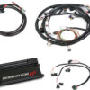HOLLEY Dominator EFI Kit - Ford 550-653