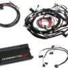 HOLLEY Dominator EFI Kit - Ford w/COP 550-655