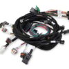 HOLLEY Main Harness 99-04 Ford Modular Engine 558-108