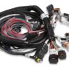 HOLLEY Main Wire Harness  Hemi Late  W/ TPS & IAC 558-116