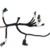 HOLLEY Bench-Top EFI Test Harness 558-127