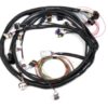 HOLLEY Engine Main Harness Ford 5.0L/5.8L 558-128