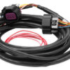 HOLLEY Dominator EFI DBW Harness - Early Truck 558-429