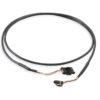 HOLLEY CAN Adapter Harness 4ft Male to Female 558-452