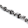 HOWARDS RACING COMPONENTS Solid Roller Cam - BBC Max Torque 121153-10