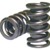 HOWARDS RACING COMPONENTS Single Valve Springs - 1.265 98213