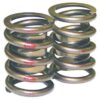 HOWARDS RACING COMPONENTS Single Valve Springs - 1.437 98411