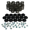 HOWARDS RACING COMPONENTS 1.465 Valve Spring Kit Dual w/Damper  1.465 98438-K34