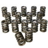 HOWARDS RACING COMPONENTS Dual Valve Springs - 1.437 98441