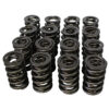 HOWARDS RACING COMPONENTS Dual Valve Springs - 1.437 98442