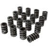 HOWARDS RACING COMPONENTS Dual Valve Springs - 1.540 98637