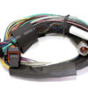 HALTECH Elite 2500 Basic Univ. Wire Harness HT-141302