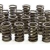 ISKY CAMS Valve Springs 235D
