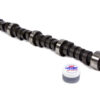 ISKY CAMS Ford Solid Camshaft - Y-Block 301444