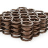 ISKY CAMS 1.490 Valve Springs 3105D