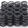 ISKY CAMS 1.240 Dual Valve Springs 4005