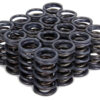ISKY CAMS 1.240 Dual Valve Springs 4205