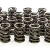 ISKY CAMS Dual Valve Springs w/Damper - LS1 6105SP