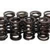 ISKY CAMS Valve Springs - Nissan SOHC 70058