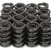 ISKY CAMS 1.340 Dia Valve Springs (12pk) 700512