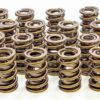 ISKY CAMS 1.530 Valve Springs 8205 PLUS