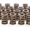 ISKY CAMS 1.530 Endurance Plus Dual Valve Springs  16pk 9005 PLUS
