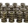 ISKY CAMS 1.534 Valve Springs 9925