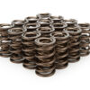 ISKY CAMS 1.560 Valve Springs 9935