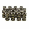 ISKY CAMS 1.570 Dual Valve Springs 9968RAD