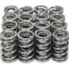 ISKY CAMS 1.570 Dual Valve Spring Set w/Damper (16pk) 9987RADML