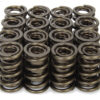 ISKY CAMS 1.570 Valve Springs 9989RAD
