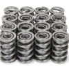 ISKY CAMS 1.600 Dual RAD Valve Springs 9996RADML