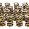 ISKY CAMS 1.600 Dual Rad Valve Springs w/Damper 9998RAD