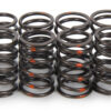 ISKY CAMS 1.095 Valve Springs 16pk Single w/Damper SP006