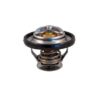 JET PERFORMANCE Low Temp Thermostat 10163