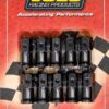 JOES RACING PRODUCTS LW Aluminum Quick Change Cover Nut Kit - 10 Pack 34358