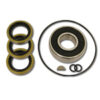 K.S.E. RACING P/S Pump Seal Kit with Bearing KSC1038B