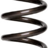 LANDRUM SPRINGS 10in Coil Over Spring 10VB550
