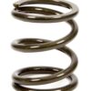 LANDRUM SPRINGS 4in Coil Over Spring 4VB500