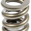 LANDRUM SPRINGS Bump Stop Spring 500LB ST500